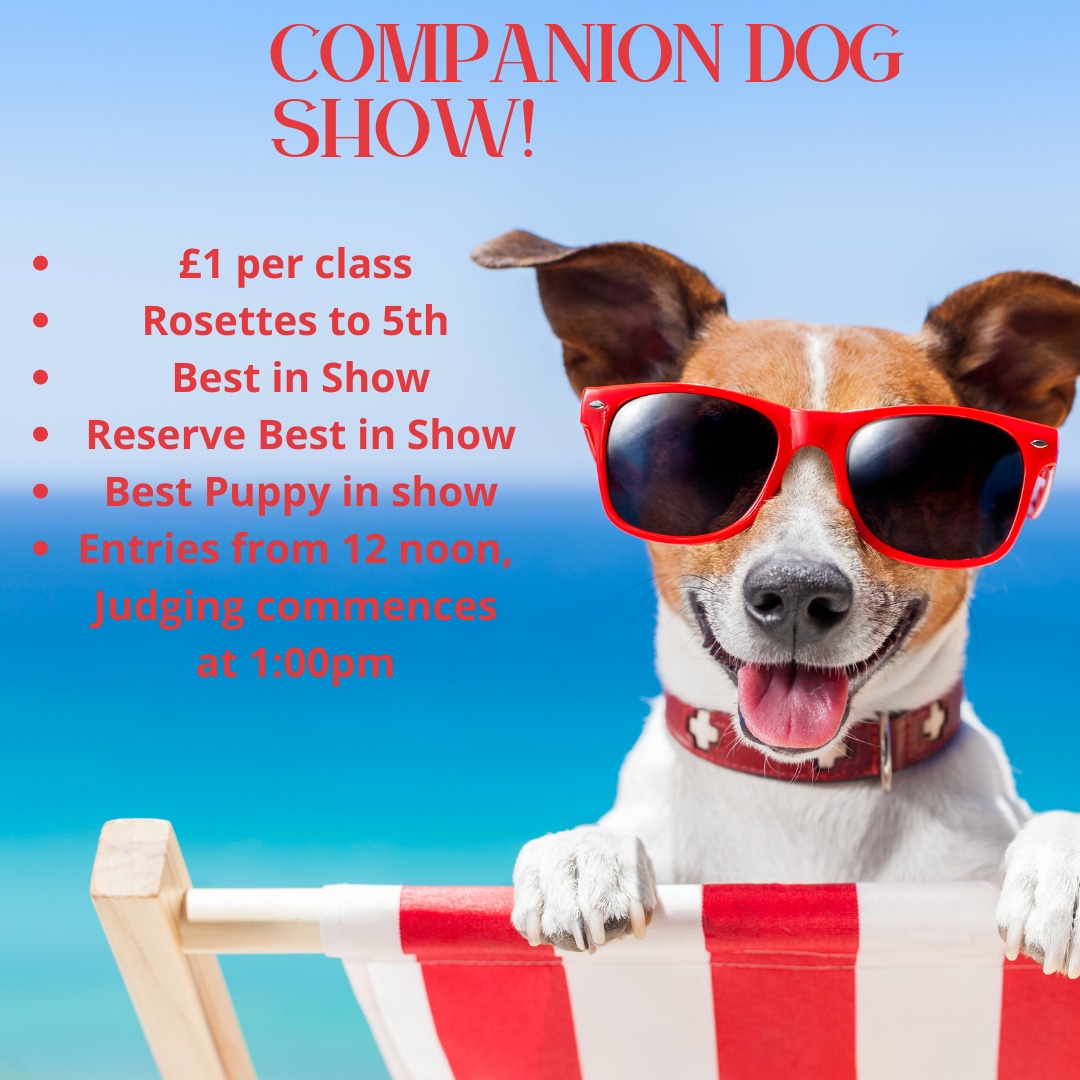 Companion dog best sale shows near me